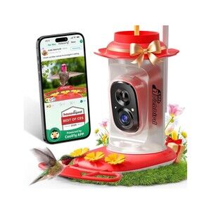 RichBird Smart Hummingbird Video Bird Feeder Camera Solar Powered 2K Live Stream